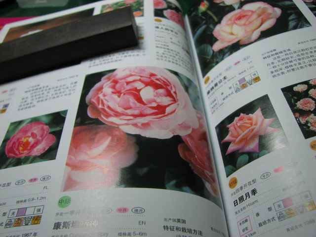 ��˹̹����