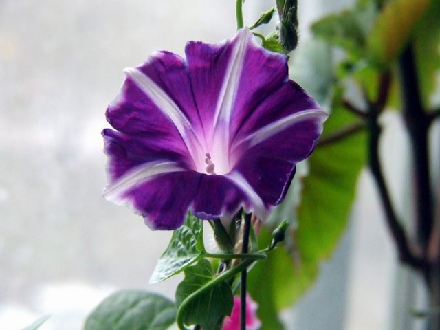 ������С DSCF0002.JPG