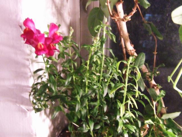 ����ݺͽ���������һ��