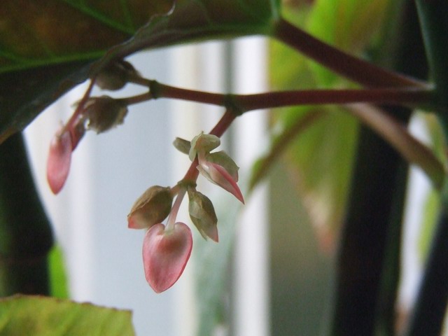 ������С ����0.JPG