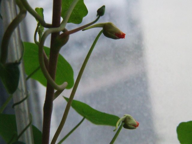 ������С ��.JPG