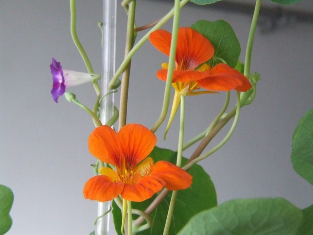 ������С ������0.JPG