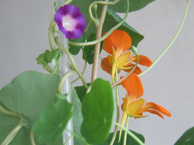 ������С ������1.JPG