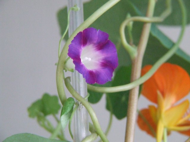 ������С ������2.JPG