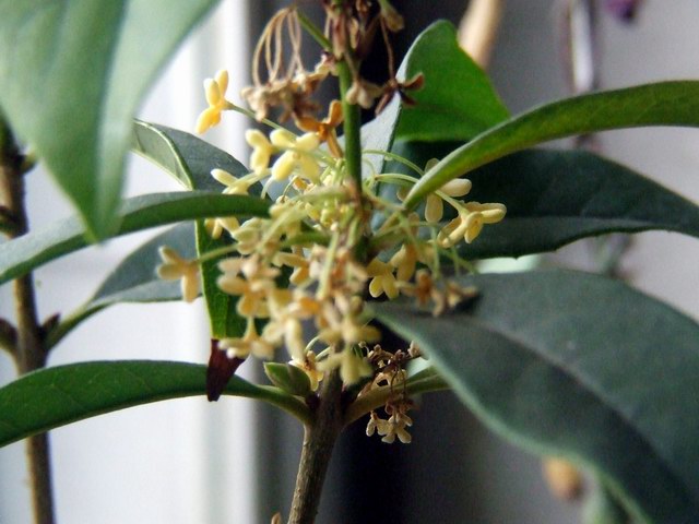 ������С �����5.JPG