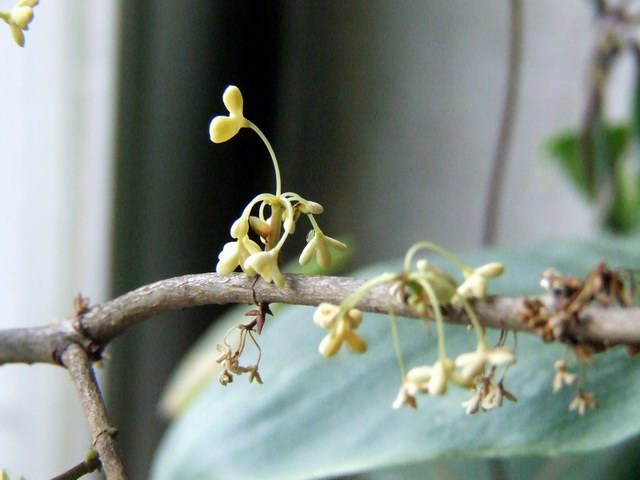 ������С �����3.JPG