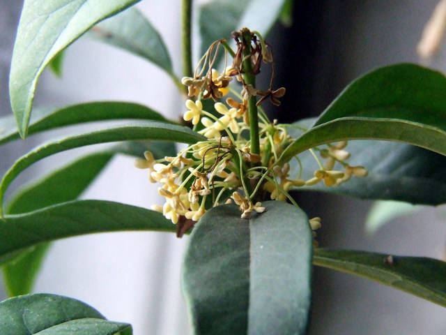 ������С �����1.JPG