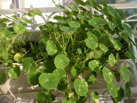 �¸£�ֻ���������ѵĽ�����������~~~~