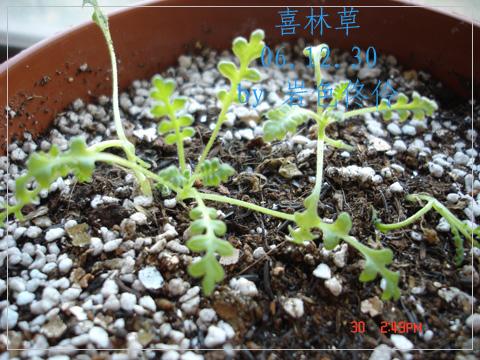 �ұ�һ���ֿ첻����:(