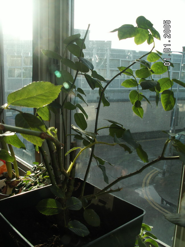 ���������,��ҴպϿ���