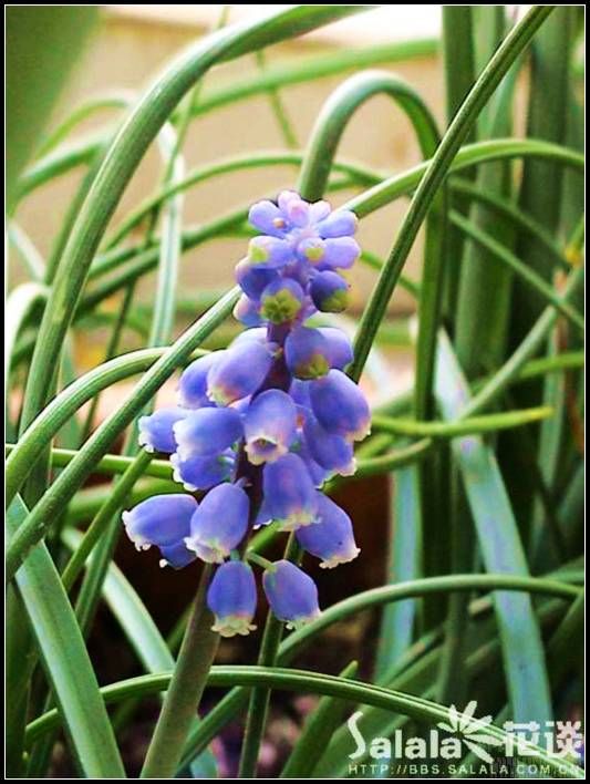 ��һ������