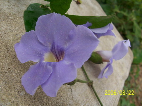 100_2372.jpg