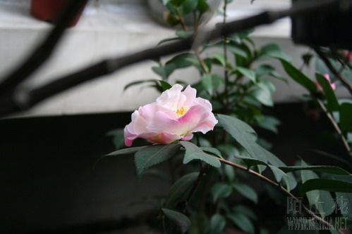 ��Ƭ 014_��С��С.jpg