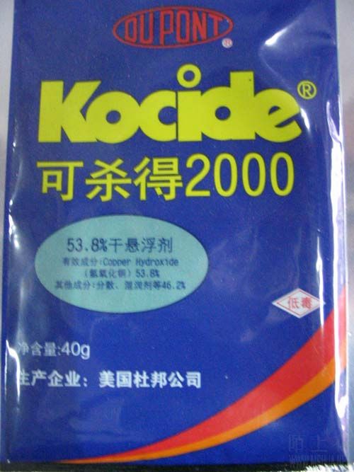 ��Ƭ 3.2031.jpg