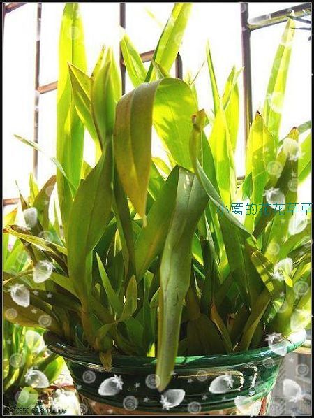 ���ǳ�����Ŷ��