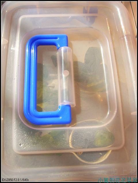 �Ұ����Ƿ����������棬���Ӳ����ܷ��