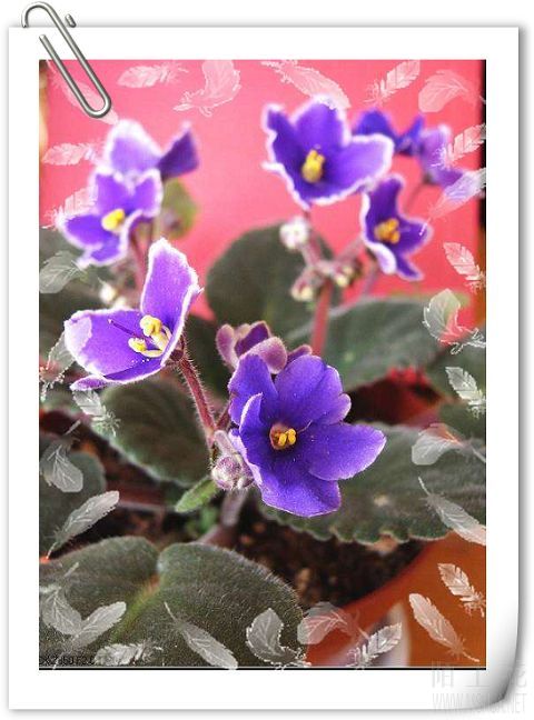 ��������ǿ׳���������Ѿ����Ÿ������ۣ���֪���ܻ��Ϻ��Ӳ���