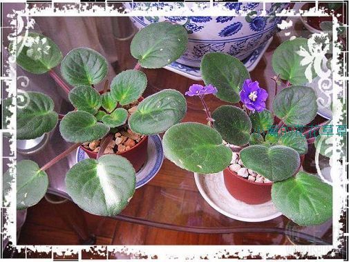 ���������������ӣ���Ǯһ�������ģ�ԭ���������ģ�����������ͷʵ�飬���ڿ��������ˣ��ܽ�����