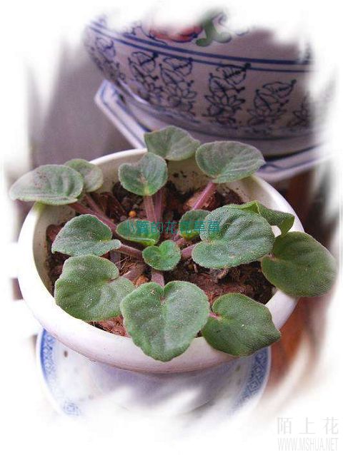 �����Ҵӱ�������Ϸ������Ĳ�����ԭ�������Ѿ������ˣ�����������������Ҳ��װ����