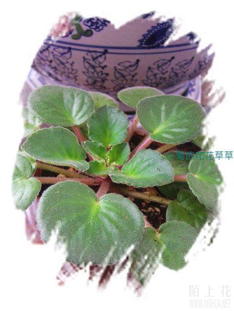 �Ѿ�����һ�꣬��һ������ȫ���ģ�ϣ������Ҳһ����Ŀǰ����װ����