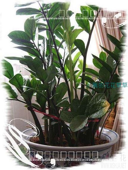 ���Ž��գ�