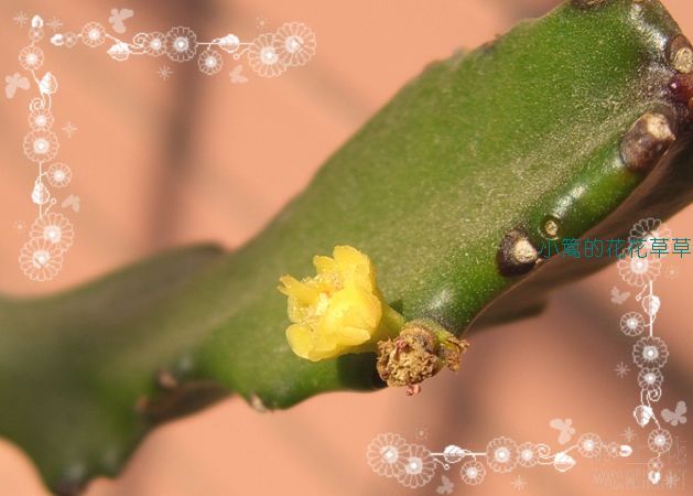 ��ʵ���Ա��Ѿ�����һ���ˣ��Ҿ�Ȼû�з��֣�������