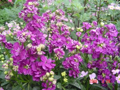 ȥ�괺�죬�����Ƕ�ô������