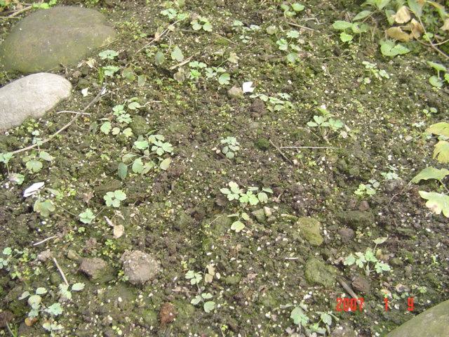 �����ﶷ����20��ã�5����ɫ��