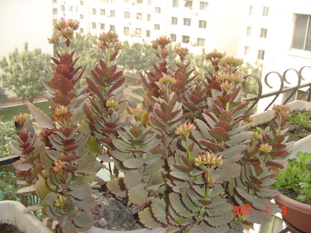 ȥ�궬������װ��һ��˵ĳ��٣�Ҫ������