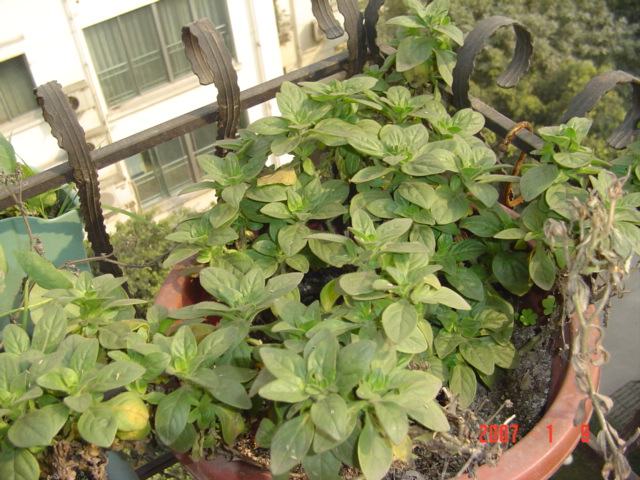 ��һ�����أ�Ҳ�Ǵ�����������ͷ��