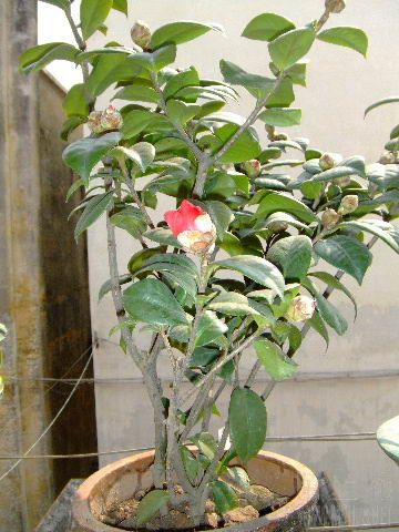 DSCF1674.JPG