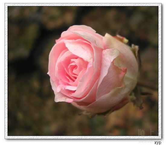 DSCN4689.jpg