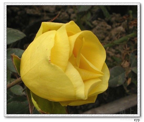 DSCN4691.jpg