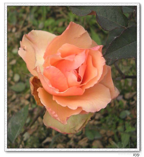 DSCN4693.jpg