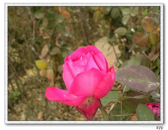 DSCN4695.jpg