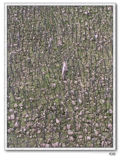 DSCN4699.jpg