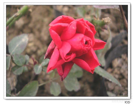 DSCN4700.jpg