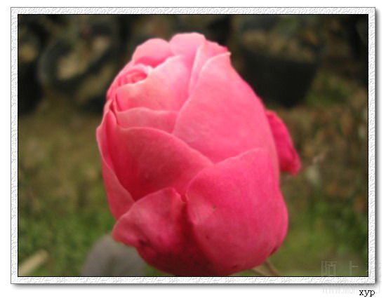 DSCN4701.jpg