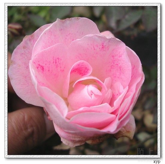 DSCN4707.jpg