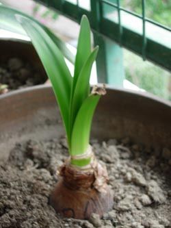 DSCN5175.jpg