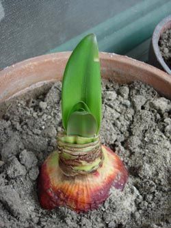 DSCN5185.jpg