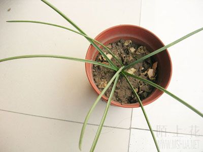 DSCN6007.JPG