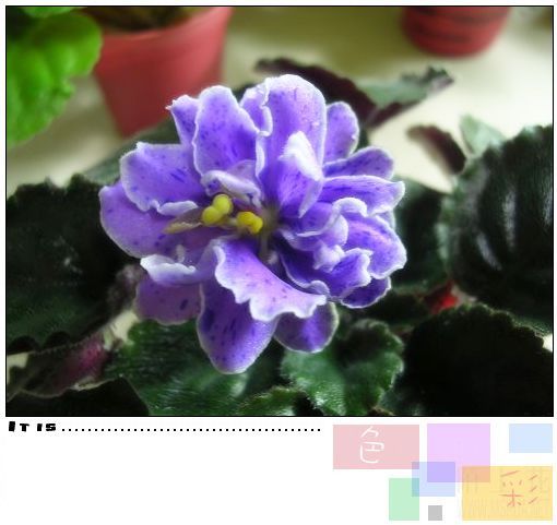 DSCN9680.JPG