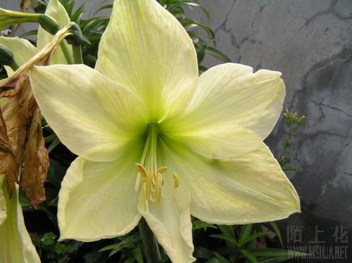 �SɫŮ�� 1.jpg