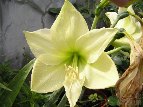 �SɫŮ�� 2.jpg