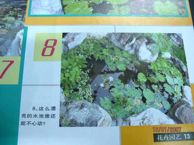 8 �㱨���