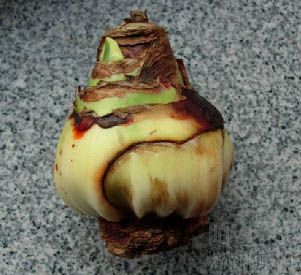212 ����.jpg