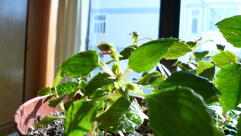 �������ֲ���д