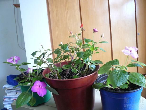 ~~~~~��Ӱһ��