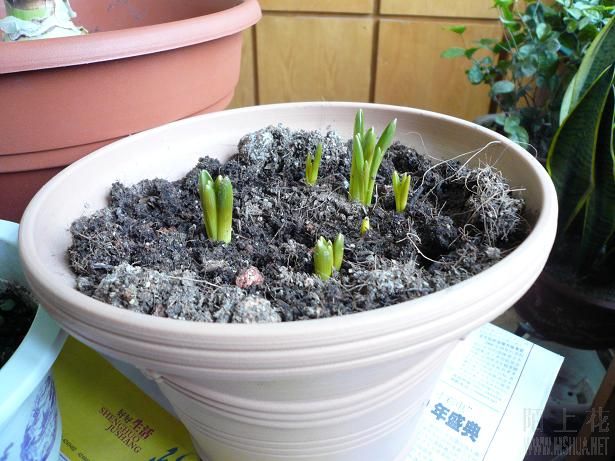 ���ѷ�����